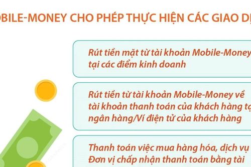 Gia hạn thí điểm dịch vụ Mobile-Money đến 31/12/2024