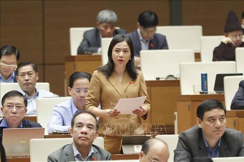 Cần lộ trình xử lý dứt điểm vụ việc khiếu nại, tố cáo phức tạp, tồn đọng kéo dài