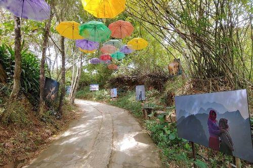 Đà Lạt có cung đường nghệ thuật đầu tiên