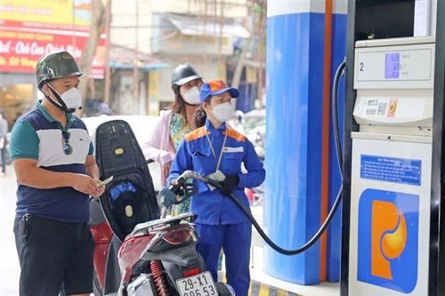 Nghị định 80/2023/NĐ-CP: Bước tiến mới trong quản lý kinh doanh xăng dầu