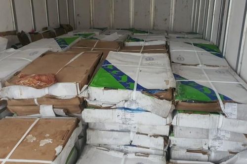 Hà Nội: Phạt 90 triệu đồng, buộc tiêu hủy 5,6 tấn nội tạng đông lạnh nhập lậu