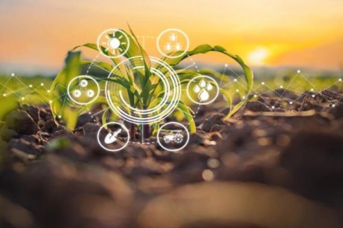 Nông dân Đông Nam Á ứng dụng agritech, thúc đẩy sản xuất và giảm tác động đến môi trường