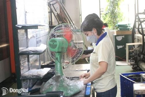 Cần đảm bảo việc làm bền vững cho người lao động