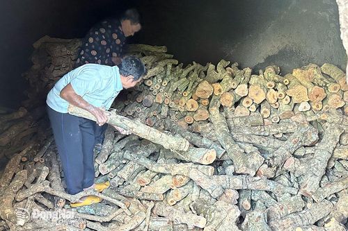 Người dân Trại phong Bình Minh và nỗi lo khi 'nhường' đất cho dự án