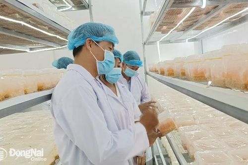 Kiểm tra thực hiện Cuộc vận động 'Người Việt Nam ưu tiên dùng hàng Việt Nam' ở Cẩm Mỹ và Long Thành