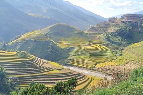 Phát triển du lịch nông nghiệp, nông thôn theo hướng tăng trưởng xanh