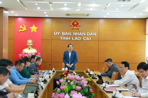 Triển khai đồng bộ, quyết liệt các nghị quyết chuyên đề của Tỉnh ủy