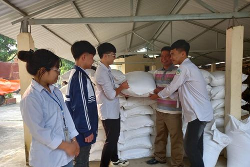 Phú Thọ có 4.465 học sinh được hỗ trợ gạo theo Nghị định 116