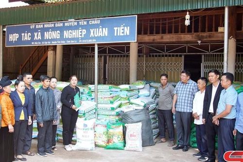 Hỗ trợ phân bón cho Chi hội Nông dân nghề nghiệp bản Mệt Sai