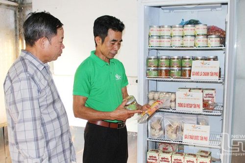 Liên kết sản xuất nâng cao giá trị nông sản Phú Bình