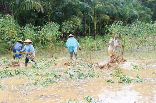 Tăng năng lực thích ứng cho nông dân
