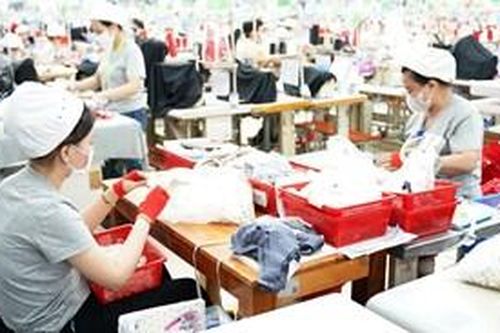 Giám sát việc lãnh đạo, chỉ đạo và tổ chức thực hiện Nghị quyết 54 tại Phong Điền