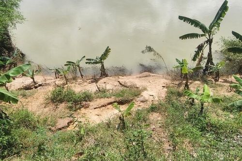 Vân Canh (Bình Định): Bờ ngự thủy sạt lở khiến người dân bất an
