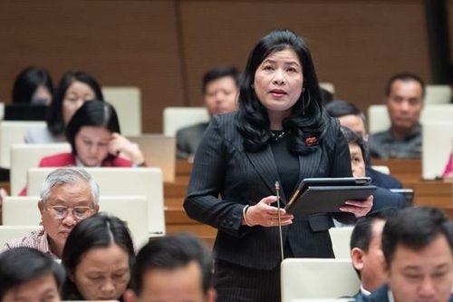 ĐBQH Đàng Thị Mỹ Hương (Ninh Thuận): Tiếp tục nâng cao chất lượng hiệu quả tiếp công dân, xử lý đơn thư