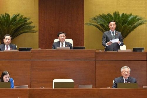 Cần điều chỉnh một cách toàn diện, phù hợp với định hướng phát triển lâu dài