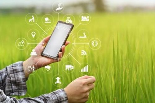 Để HTX không còn gặp 'hạn hán' trên cánh đồng chuyển đổi số
