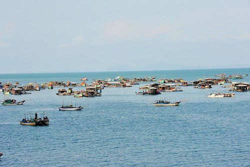 Na Uy và Kiên Giang tìm kiếm cơ hội hợp tác phát triển nghề nuôi biển