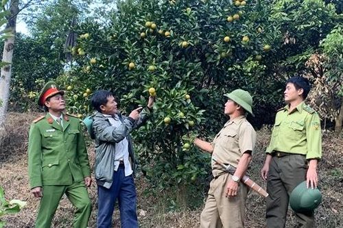 Sơn La: Giảm nghèo bền vững gắn với đảm bảo quốc phòng, an ninh