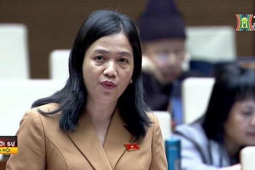 Chủ động nắm chắc tình hình khiếu nại tại địa phương
