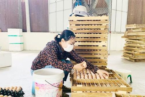 Tăng sức hút của tổ hội nông dân nghề nghiệp