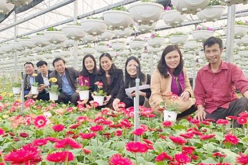Lan tỏa mô hình khuyến nông hiệu quả