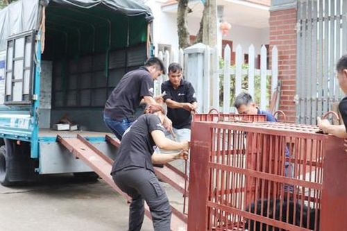 Chi cục Kiểm lâm Hà Nội: Quản lý chặt cơ sở gây nuôi động vật hoang dã