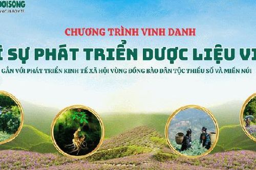 ng bào dân tộc thiểu số trồng dược liệu được tiếp thêm động lực