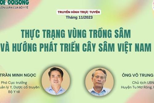 Truyền hình trực tuyến: Thực trạng vùng trồng sâm và hướng phát triển cây sâm Việt Nam