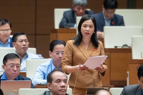 Giải quyết dứt điểm tình trạng khiếu nại, tố cáo kéo dài