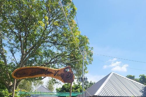 Đồng Tháp: Không để người dân làm nông nghiệp sinh thái đơn độc