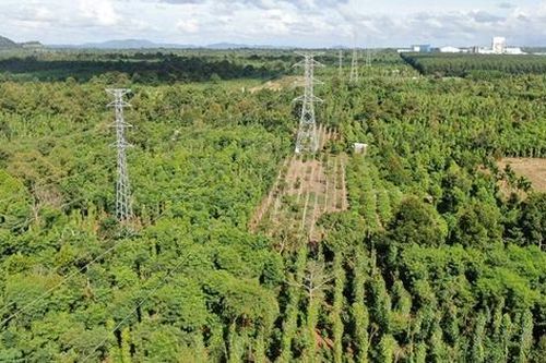 Đóng điện nhánh rẽ dự án TBA 220kV Krông Ana và đấu nối