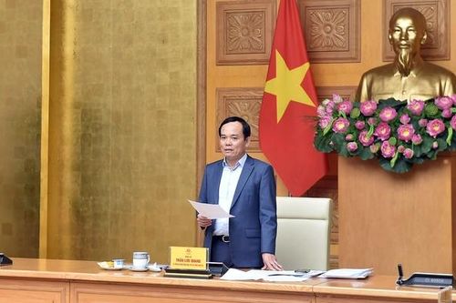 Hội đồng thẩm định thông qua Quy hoạch hệ thống cảng cá, khu neo đậu tránh trú bão