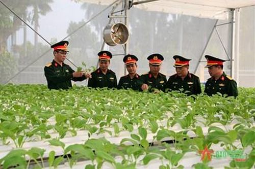 Từ nhà kho cũ thành mô hình điểm về tăng gia sản xuất