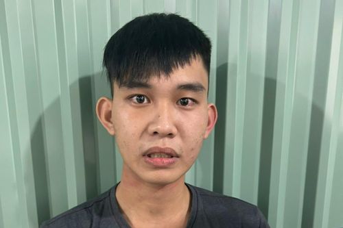 Bắt đối tượng thực hiện nhiều vụ 'nhập nha' ở Đà Nẵng