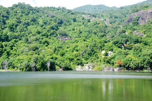 Một thoáng Phụng Hoàng sơn