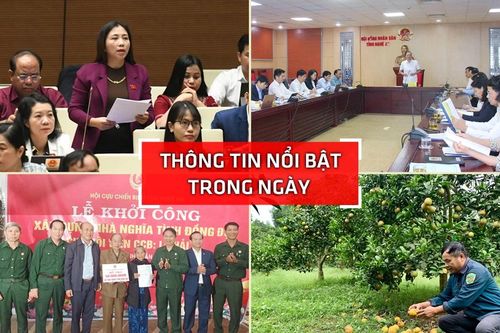Nghệ An: Thông tin nổi bật ngày 23/11