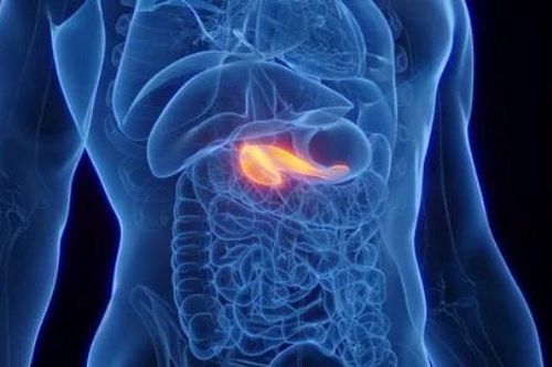 Phát triển nền tảng AI giúp phát hiện ung thư tuyến tụy giai đoạn sớm