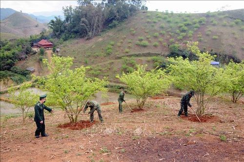 Hỗ trợ người dân vùng biên thoát nghèo