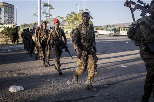 IGAD kêu gọi các bên tham chiến ở Ethiopia tiếp tục đàm phán