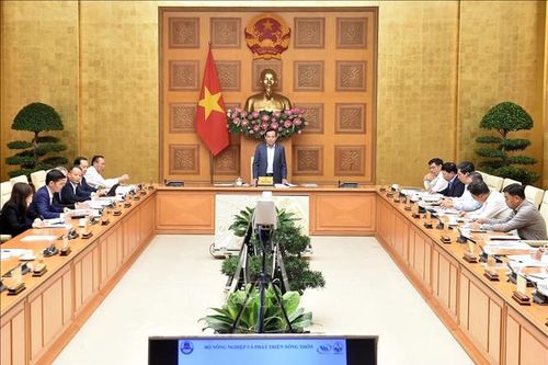 Quy hoạch hệ thống cảng cá để khai thác thủy sản hiệu quả, ứng phó biến đổi khí hậu