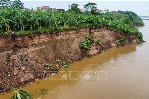 Di dời khẩn cấp người dân ra khỏi vùng sạt lở bờ sông Thao