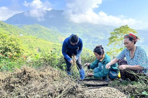 Mạnh dạn chuyển đổi cây trồng vật nuôi để thoát nghèo ở miền núi xứ Nghệ