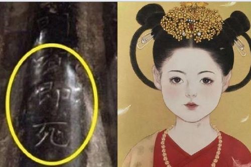 Bật nắp quan tài khắc lời nguyền ai mở sẽ chết, chuyên gia bàng hoàng trước cành tượng bên trong