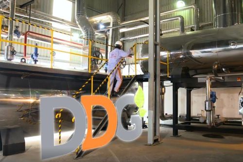 Con trai Tổng Giám đốc Xuất nhập khẩu Đông Dương muốn bán sạch cổ phiếu DDG