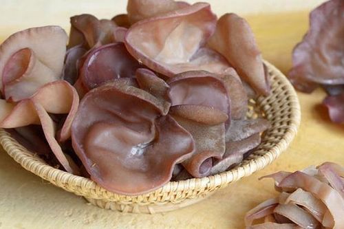 Mộc nhĩ - món ăn quen thuộc, vị thuốc tốt cho sức khỏe