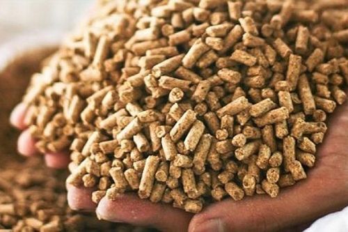 Xuất khẩu thức ăn gia súc và nguyên liệu gia nhập câu lạc bộ xuất khẩu tỷ USD