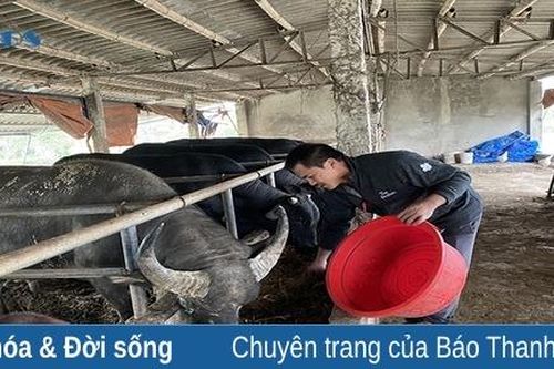 Lộc Sơn: Hỗ trợ sinh kế, giúp giảm nghèo bền vững