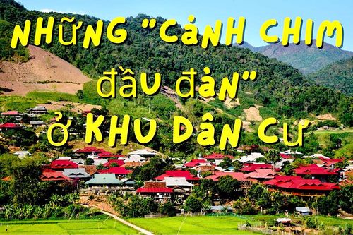 Những 'cánh chim đầu đàn' ở khu dân cư