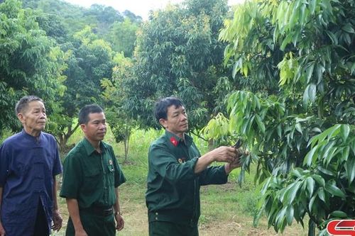 Những cựu chiến binh trên trận tuyến mới