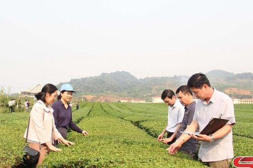 Chuyển giao khoa học kỹ thuật cho nông dân